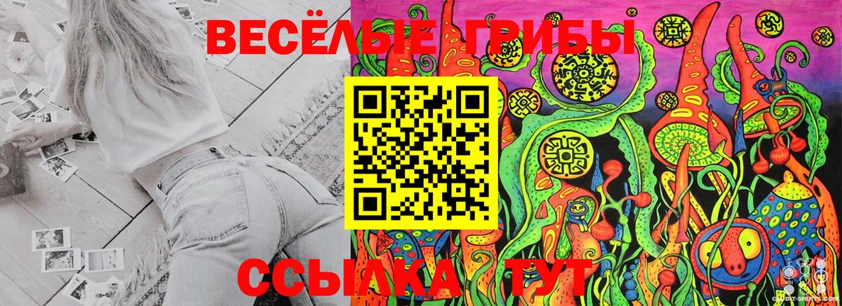 Галлюциногенные грибы Psilocybe  продажа наркотиков  Санкт-Петербург  Вход с VPN 
